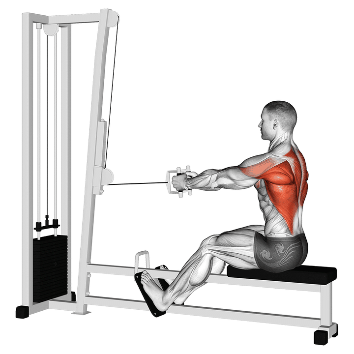 Demonstration of the cable straight back seated row