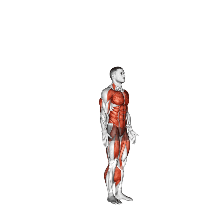 Demonstration of the burpee
