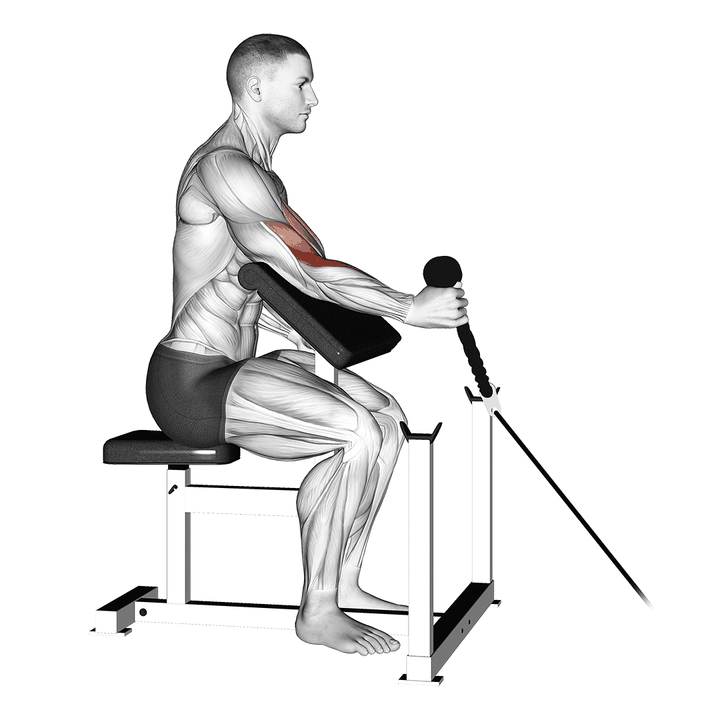 Demonstration of the cable rope one arm hammer preacher curl