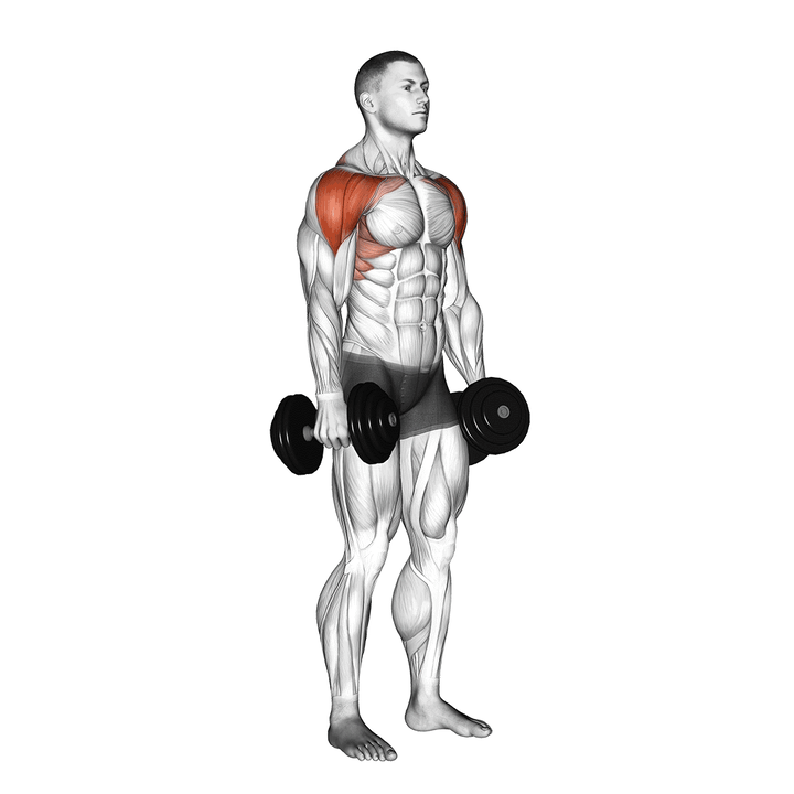 Demonstration of the dumbbell lateral to front raise
