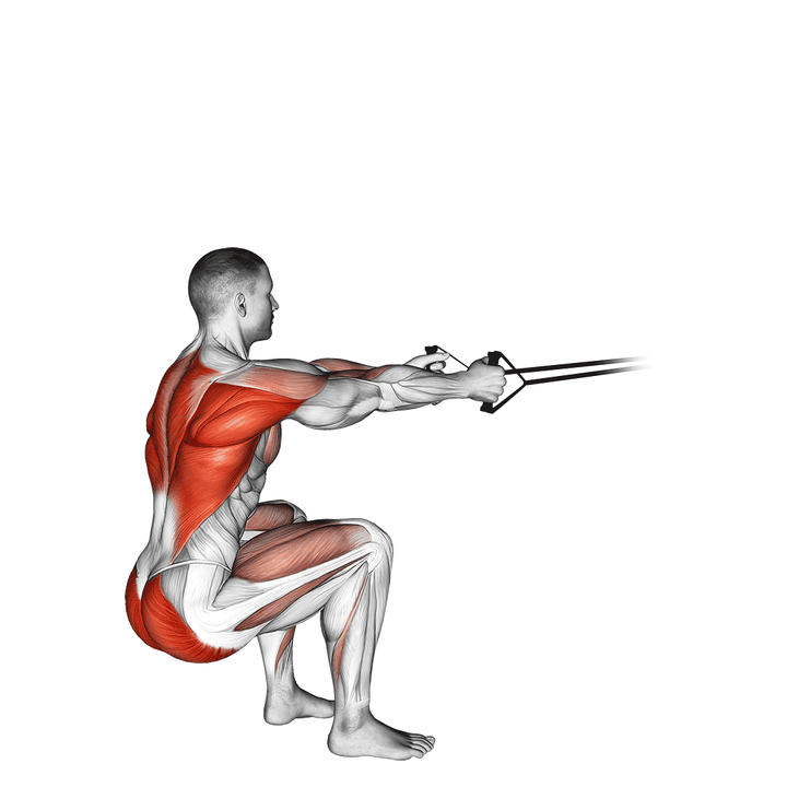 Demonstration of the band squat row