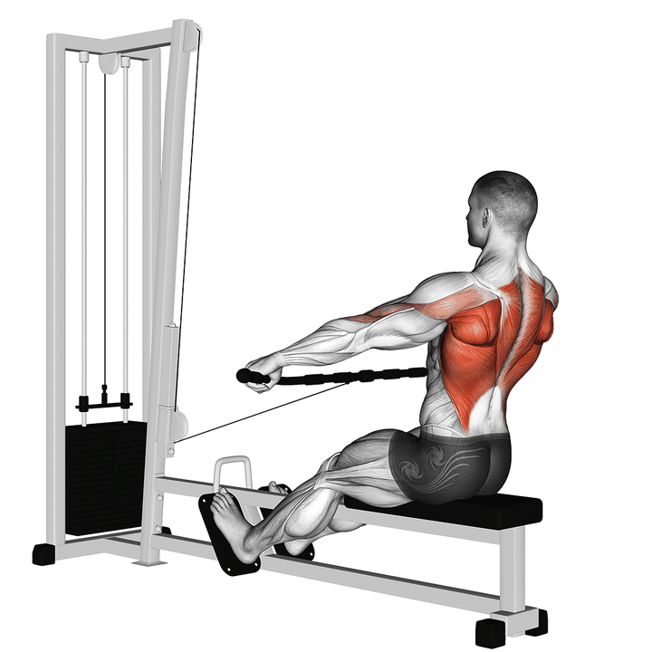Demonstration of the cable seated wide-grip row