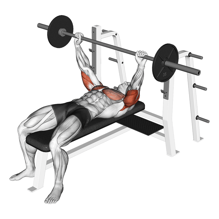 Demonstration of the barbell pin presses