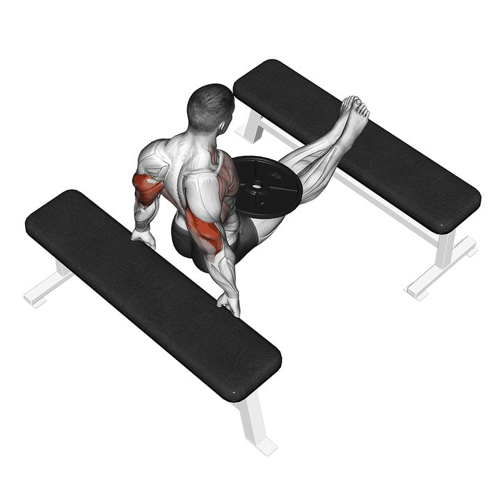 Demonstration of the weighted bench dip