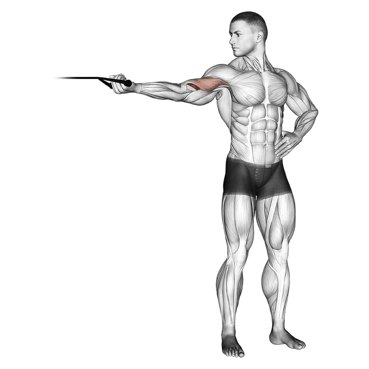 Demonstration of the band one arm overhead biceps curl