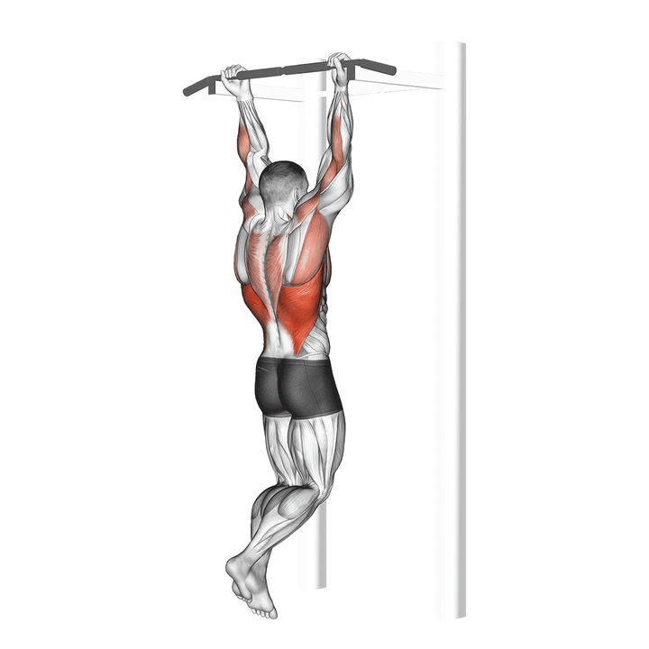Demonstration of the chin-up amplified