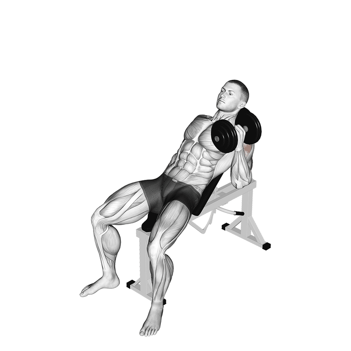 Demonstration of the dumbbell incline one arm hammer press