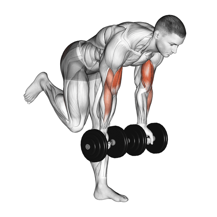 Demonstration of the extreme style dumbbell bicep curl with stork stance