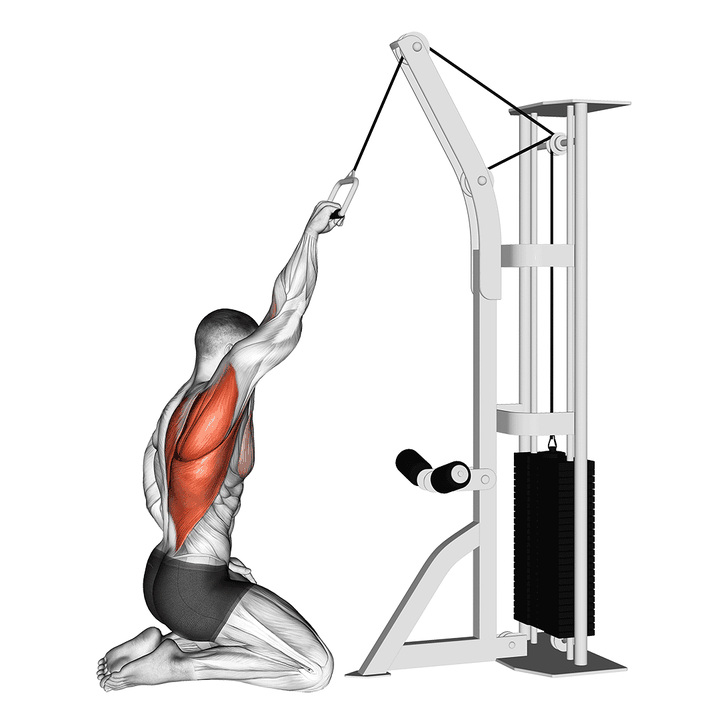 Demonstration of the cable one arm straight back high row (kneeling)