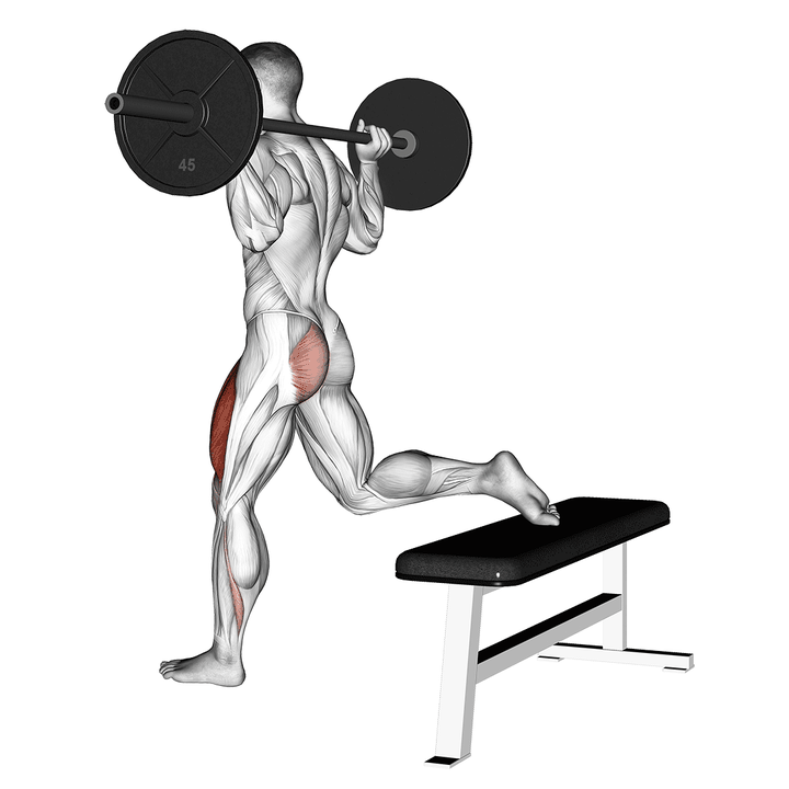 Demonstration of the barbell one leg squat
