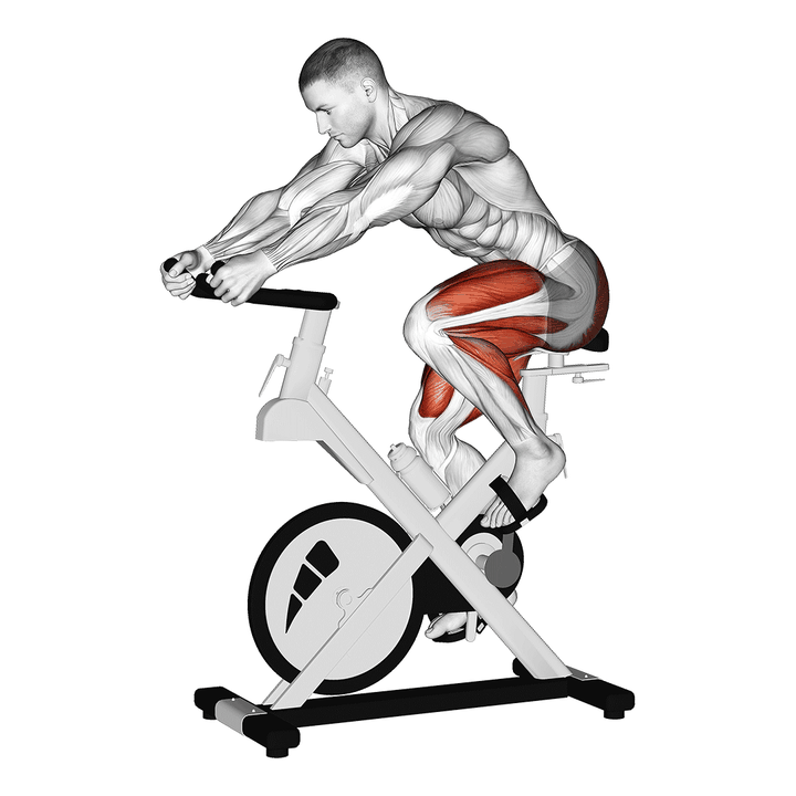 Demonstration of the stationary bike run v. 3