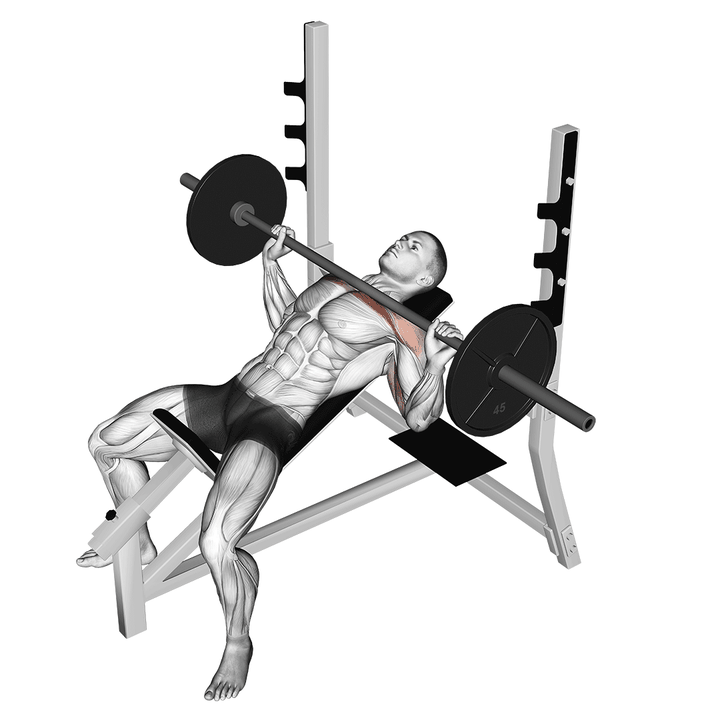 Demonstration of the incline barbell bench press