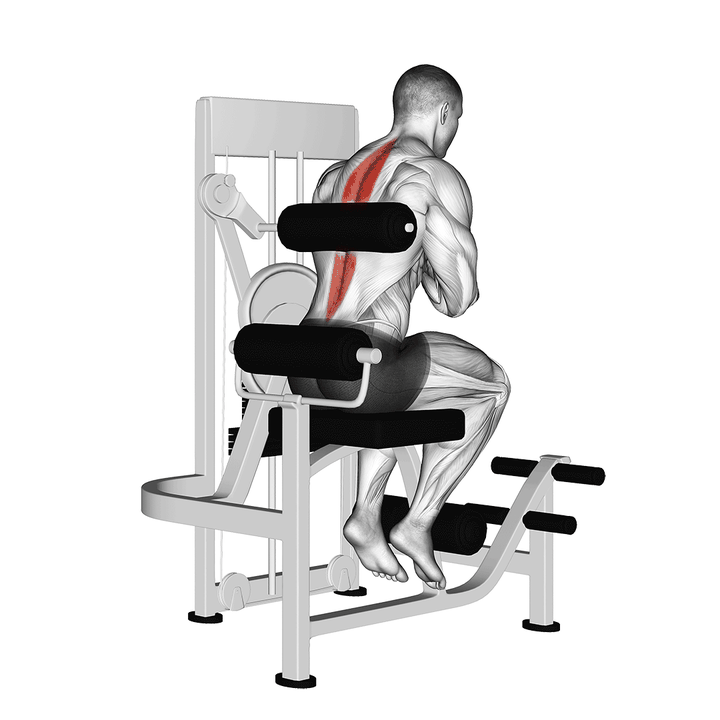 Demonstration of the lever back extension