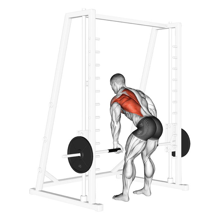 Demonstration of the smith one arm row