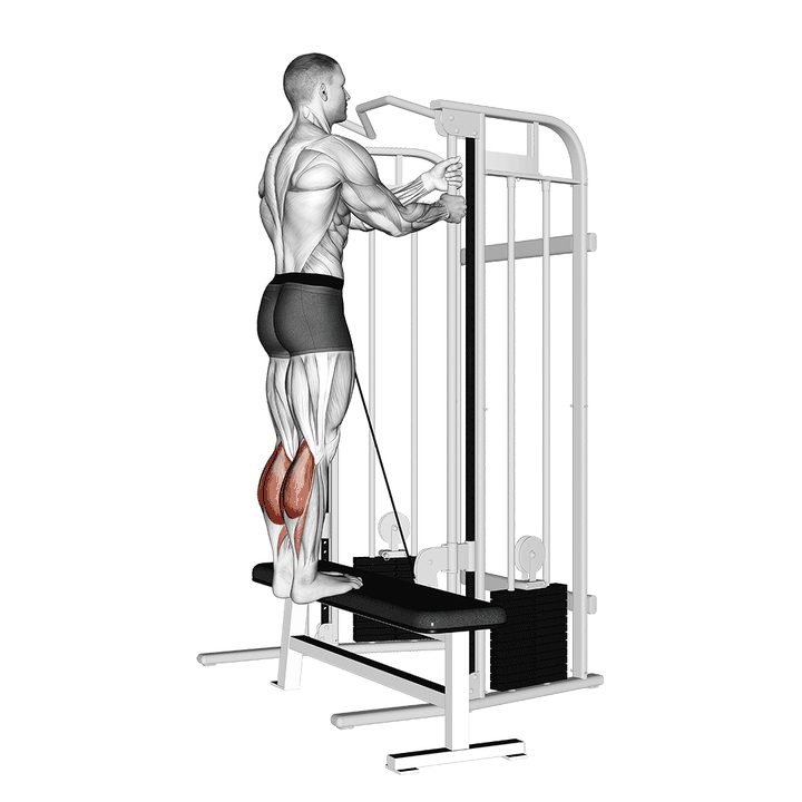 Demonstration of the cable standing calf raise