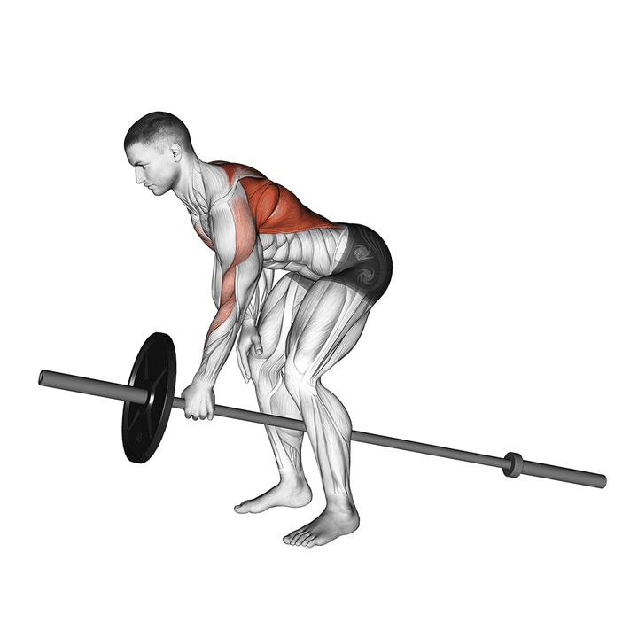 Demonstration of the lever one arm bent over row