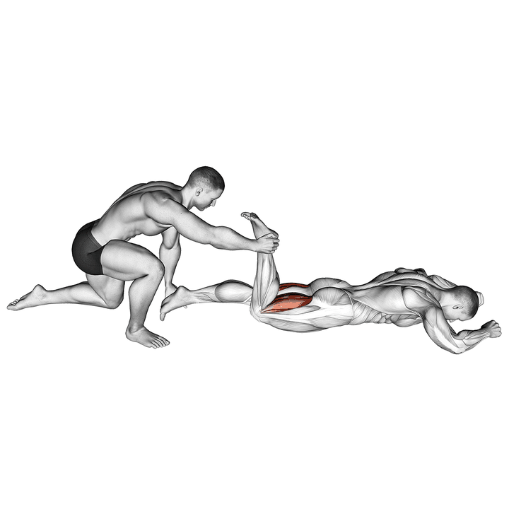 Demonstration of the assisted prone hamstring