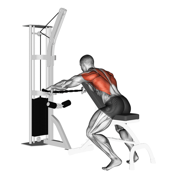 Demonstration of the cable decline seated wide-grip row
