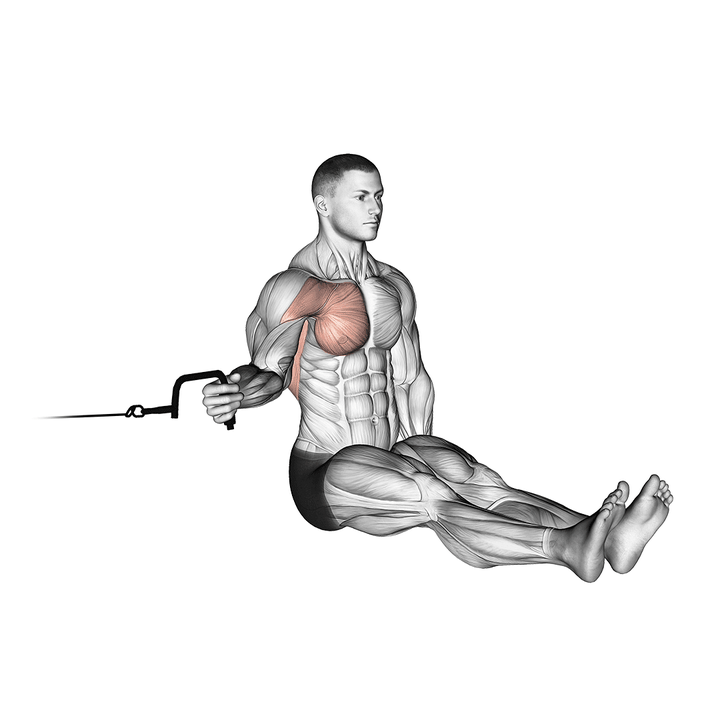Demonstration of the cable seated shoulder internal rotation