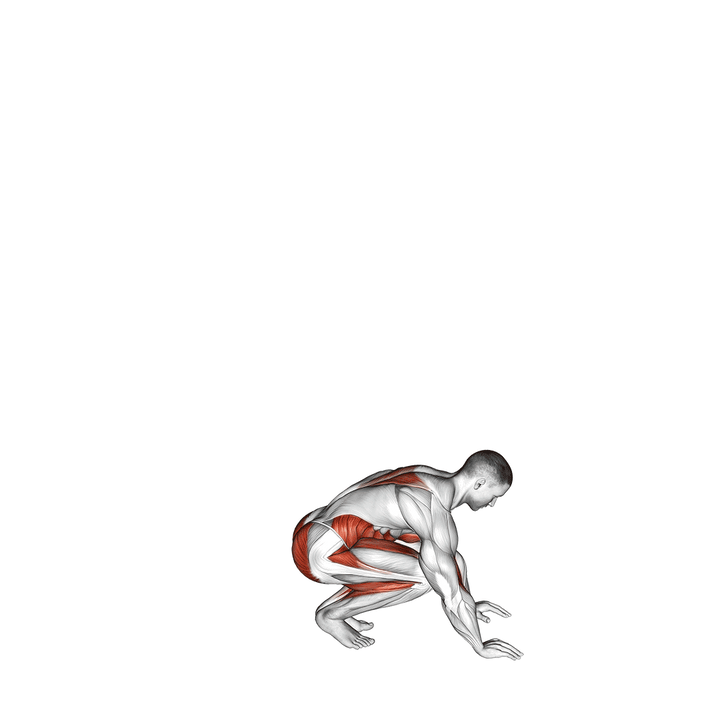Demonstration of the jack burpee