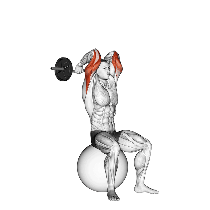 Demonstration of the ez bar french press on exercise ball
