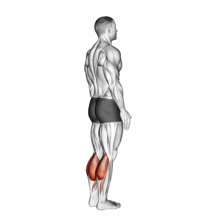 Demonstration of the bodyweight standing calf raise