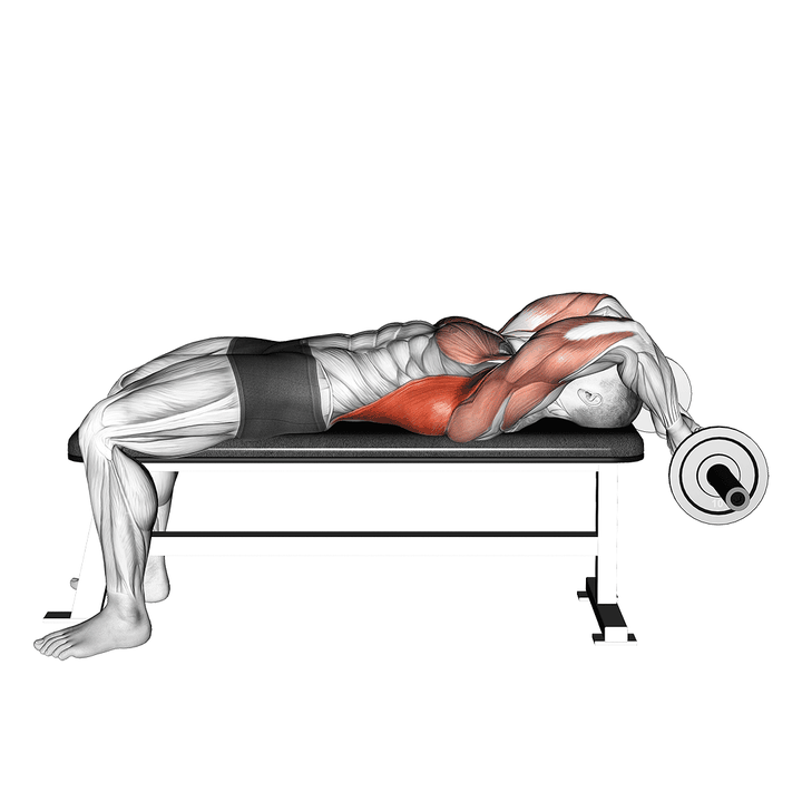 Demonstration of the weak ez bar lying bent arms pullover