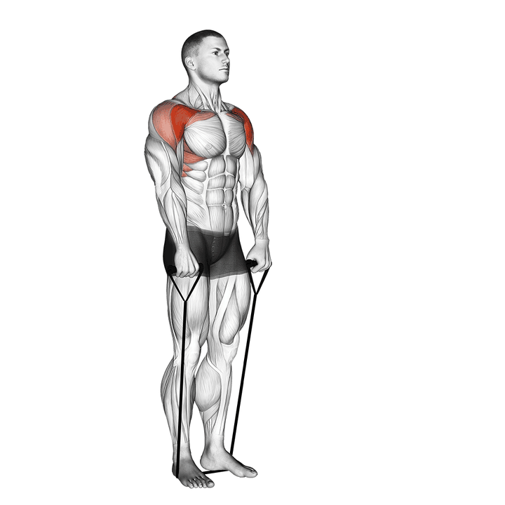 Demonstration of the band front raise
