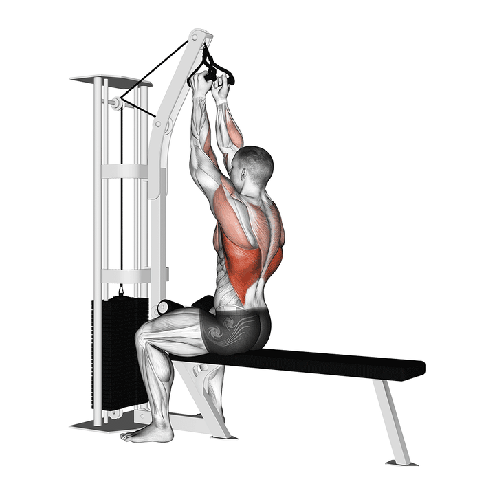 Demonstration of the cable seated high row (v-bar)