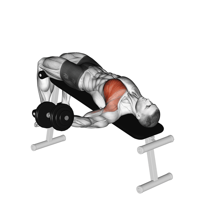 Demonstration of the dumbbell decline one arm fly