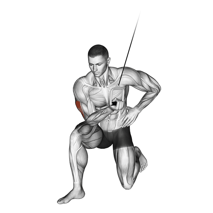 Demonstration of the cable concentration extension (on knee)