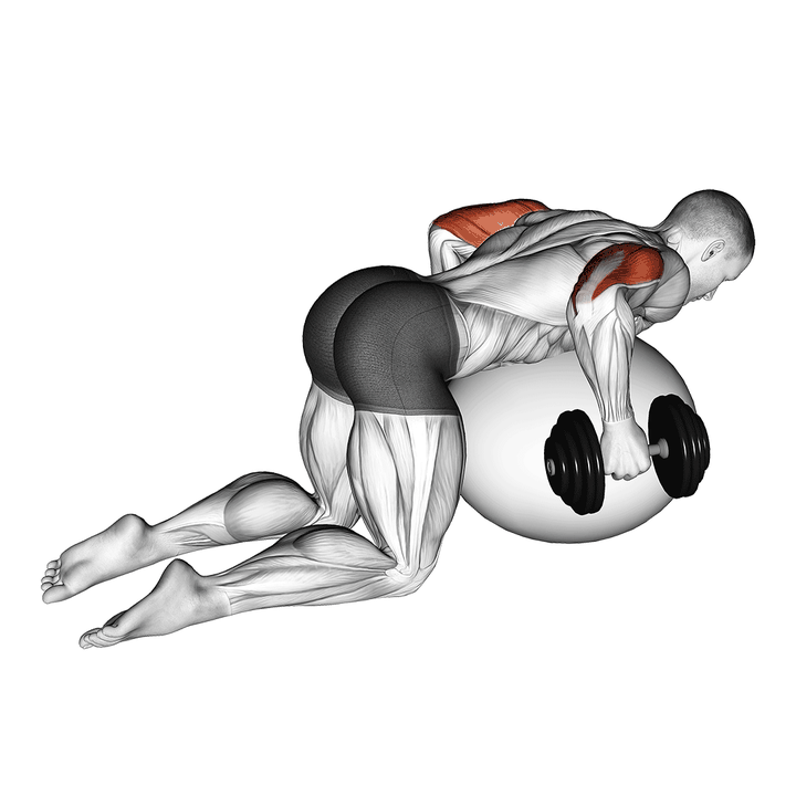 Demonstration of the dumbbell kickbacks on exercise ball
