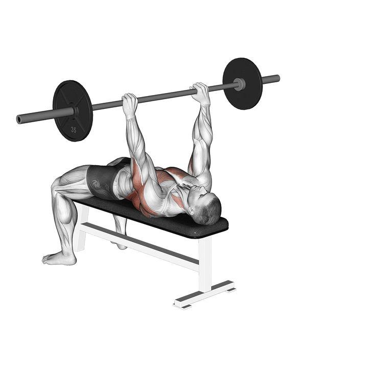 Demonstration of the barbell bent arm pullover