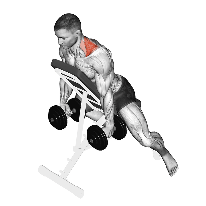 Demonstration of the focused dumbbell decline shrug