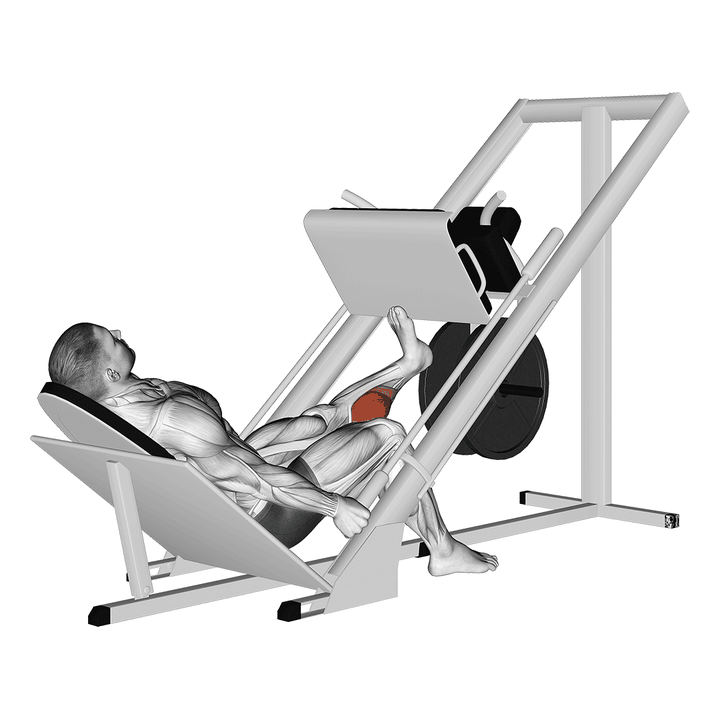 Demonstration of the sled one leg calf press on leg press