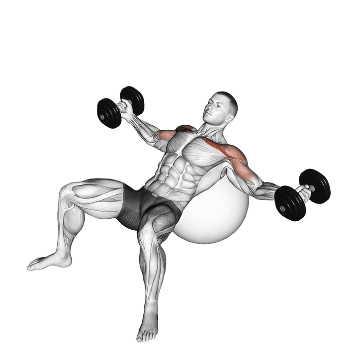 Demonstration of the dumbbell incline fly on exercise ball