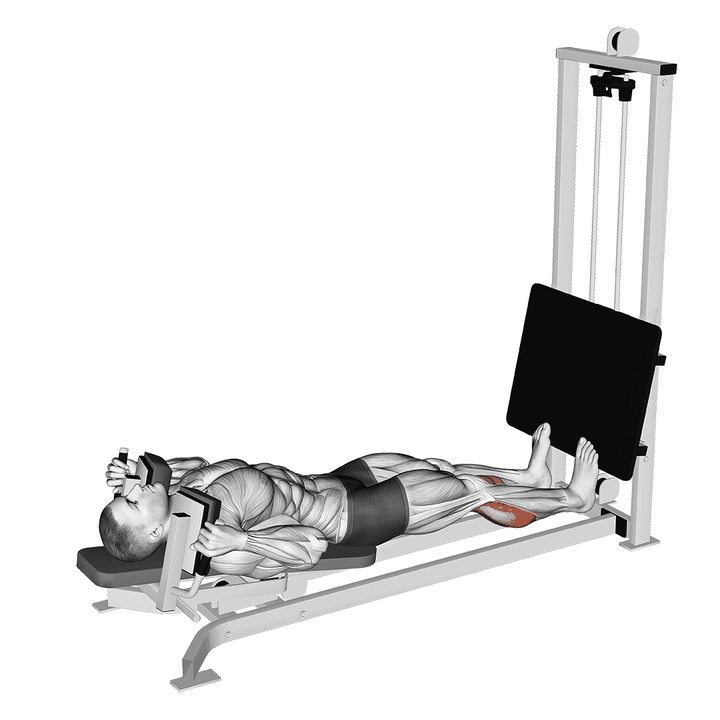 Demonstration of the sled lying calf press