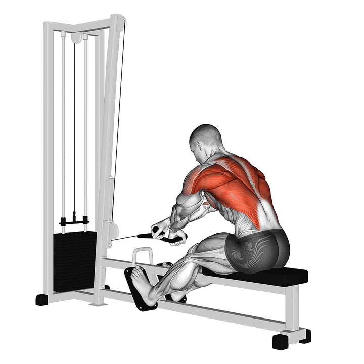 Demonstration of the cable rope crossover seated row