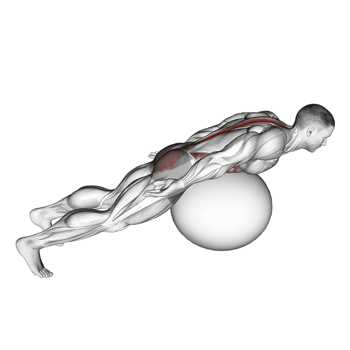 Demonstration of the exercise ball back extension with rotation