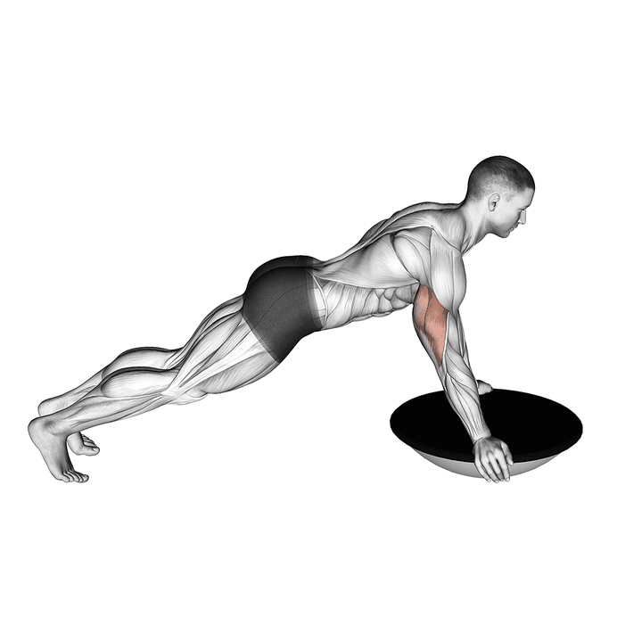 Demonstration of the push-up (bosu ball)