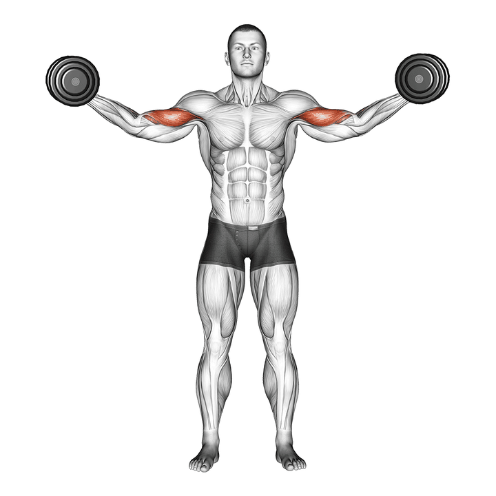 Demonstration of the dumbbell high curl