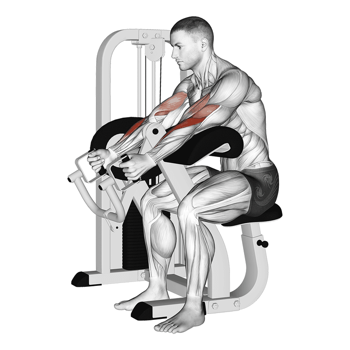 Demonstration of the lever hammer grip preacher curl