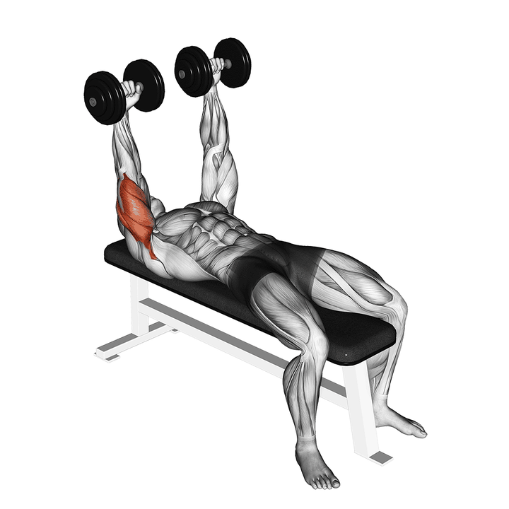 Demonstration of the dumbbell lying extension (across face)