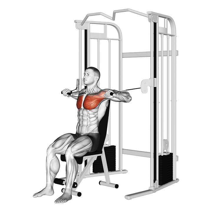 Demonstration of the cable seated chest press