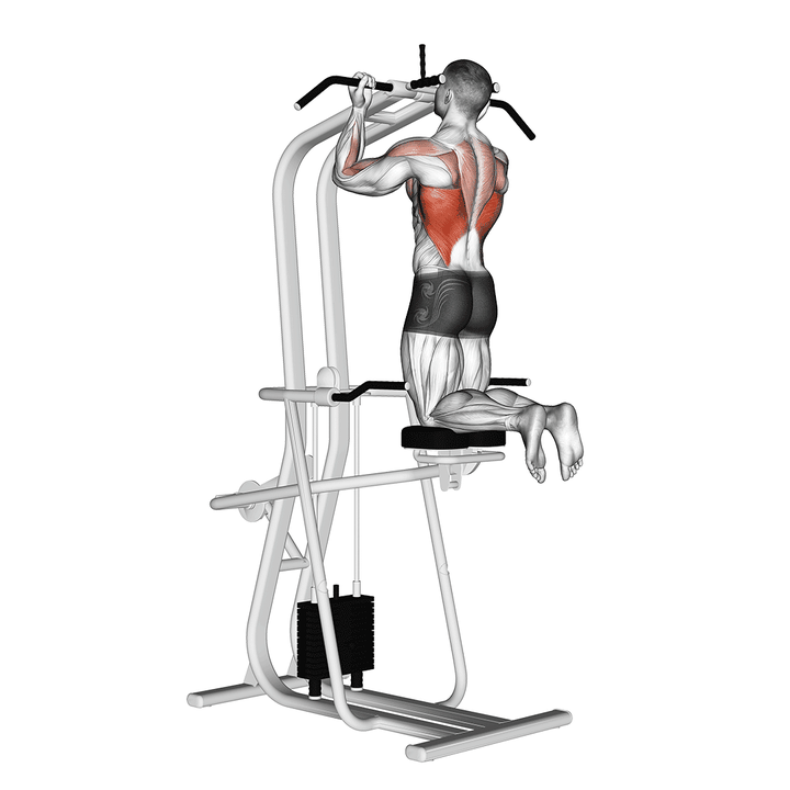Demonstration of the lever assisted chin-up