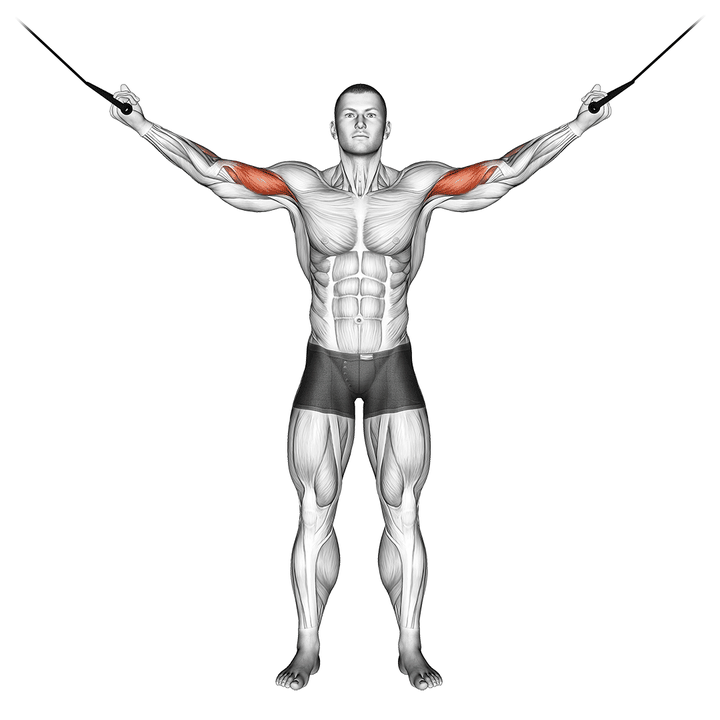 Demonstration of the cable overhead curl