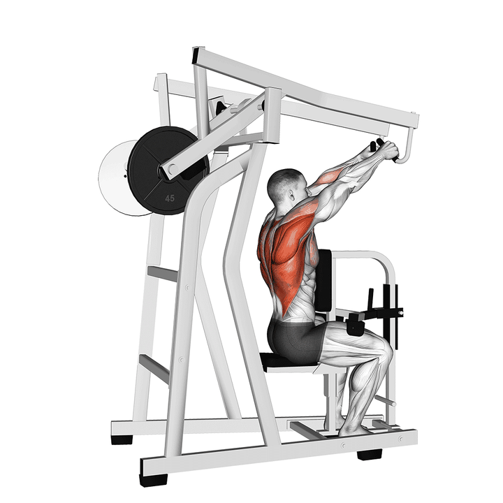 Demonstration of the lever high row