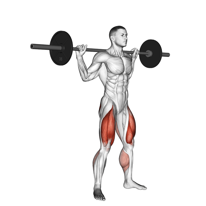 Demonstration of the barbell jump squat