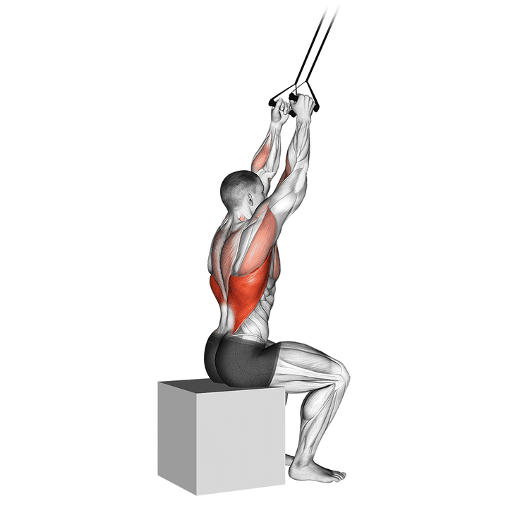 Demonstration of the band close-grip pulldown