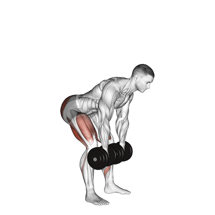 Demonstration of the dumbbell romanian deadlift